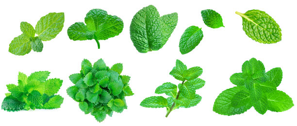 peppermint