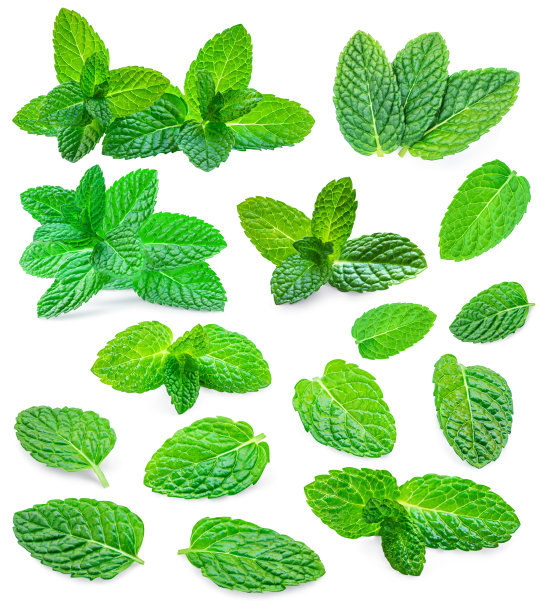 spearmint