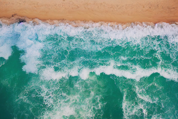 飞鸟蓝色大海壁纸