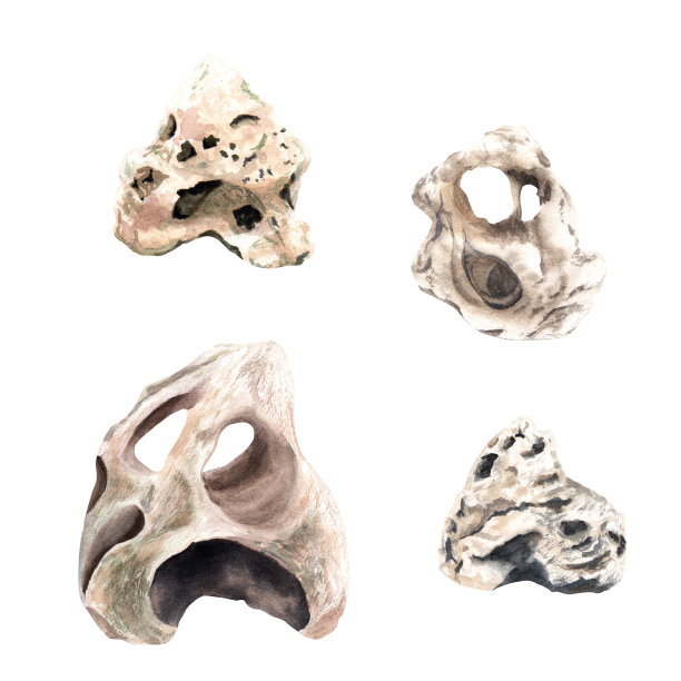 石头杂点肌理纹