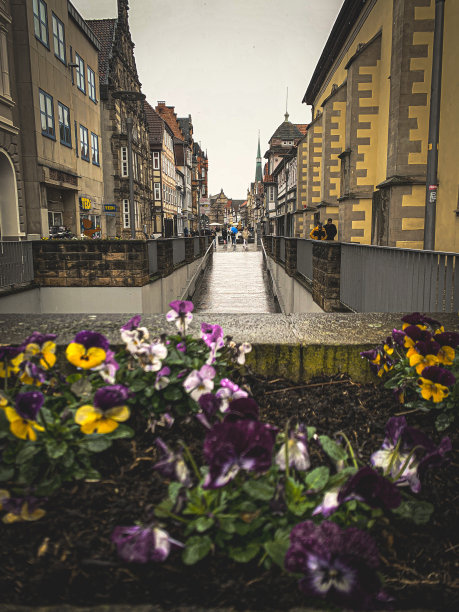 hameln