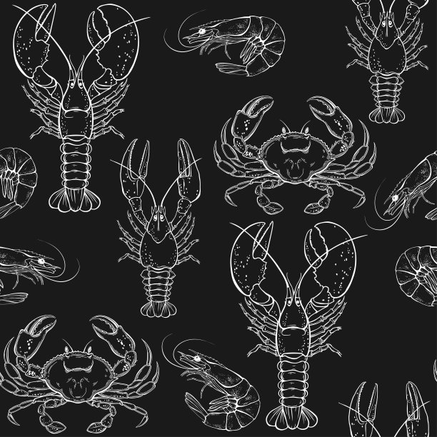 小龙虾包装插画设计