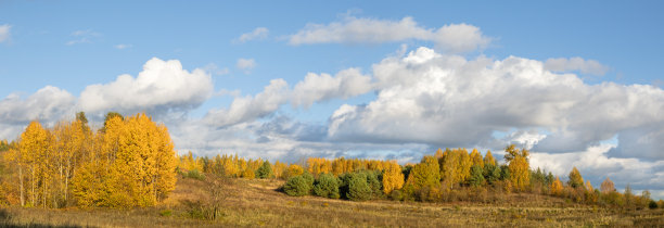 户外蓝天白云草地树林图片