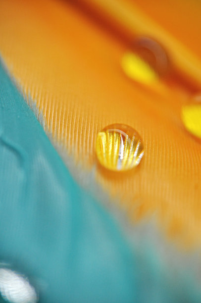 plumage