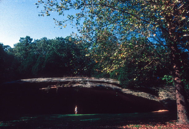 1998