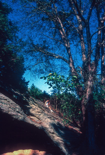 1998