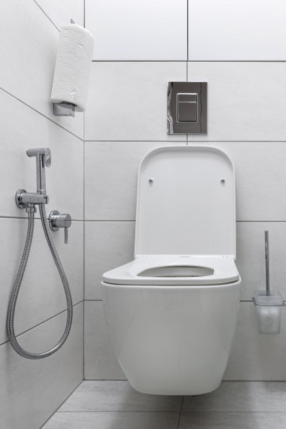 bidet