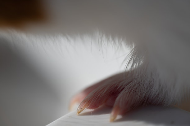 pincer