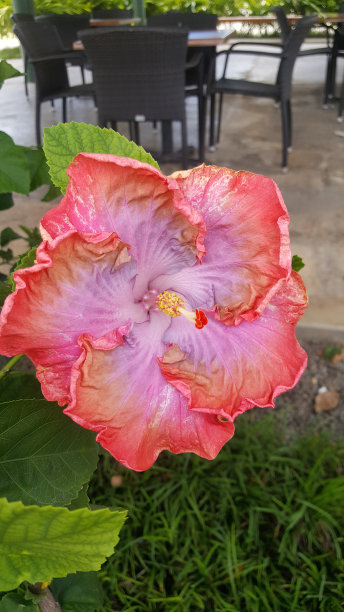 kauai