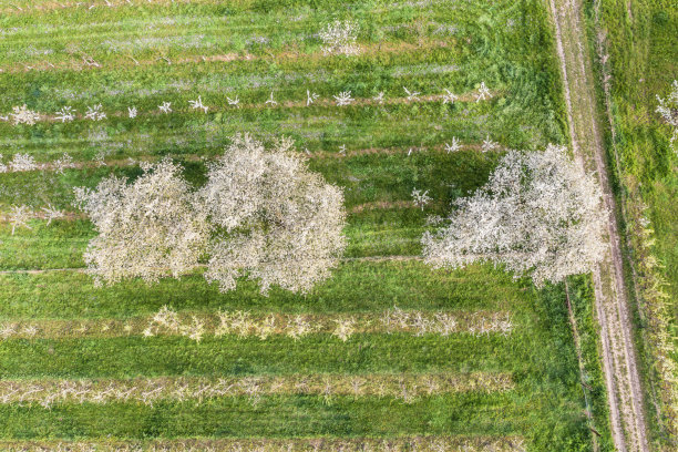 无人机研学实践