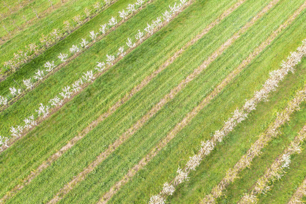 无人机研学实践