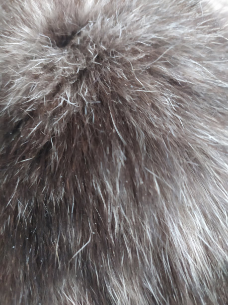 hairs
