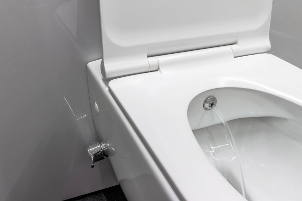 bidet