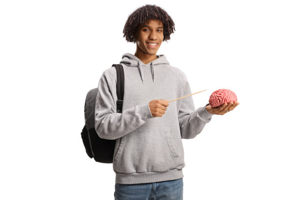 cerebrum