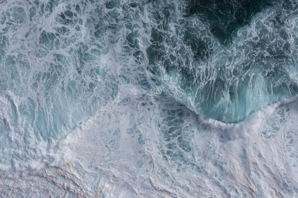 飞鸟蓝色大海壁纸