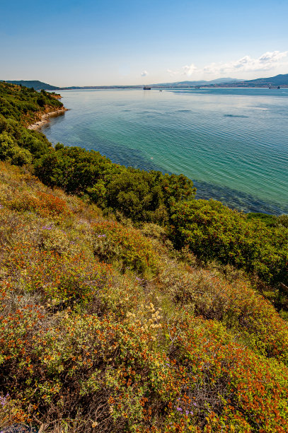 gallipoli
