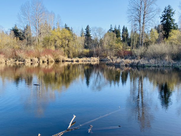 kirkland