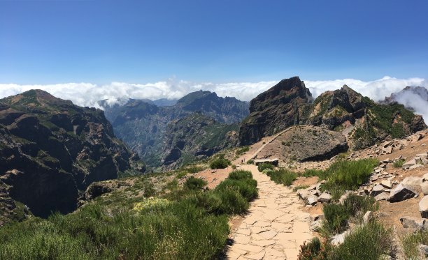 pico