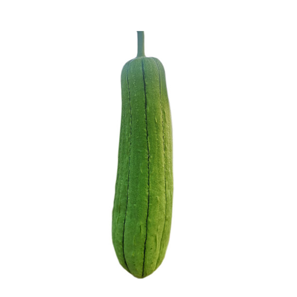 courgette