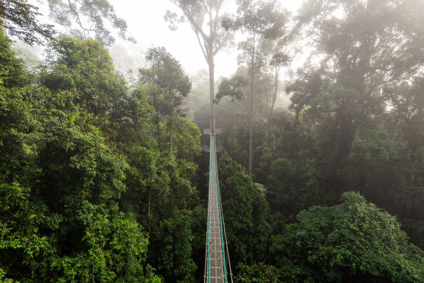 skywalk