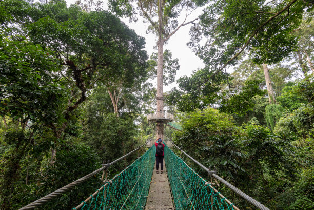 skywalk
