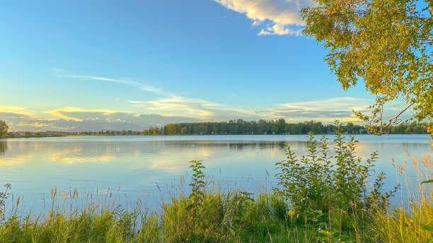 户外蓝天白云草地树林图片