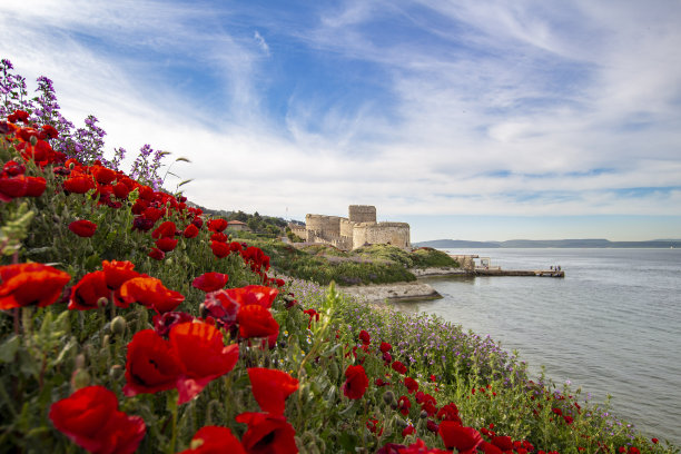 gallipoli