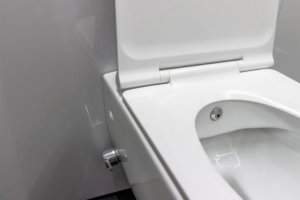 bidet