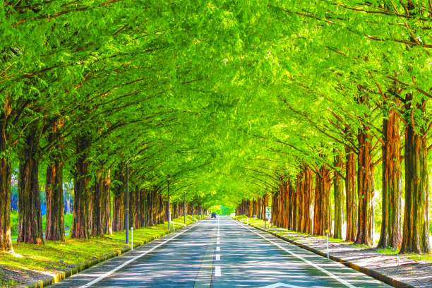 avenue
