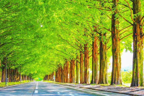 avenue