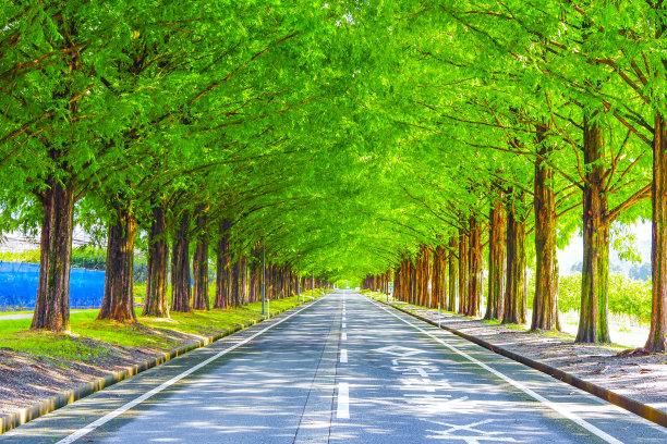 avenue