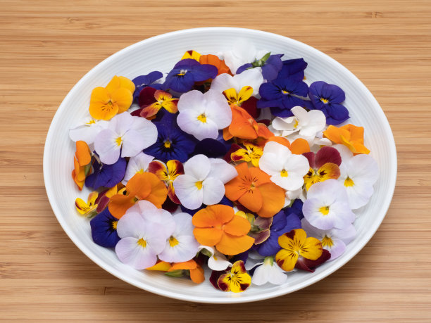 pansy