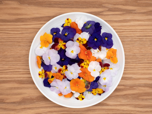 pansy