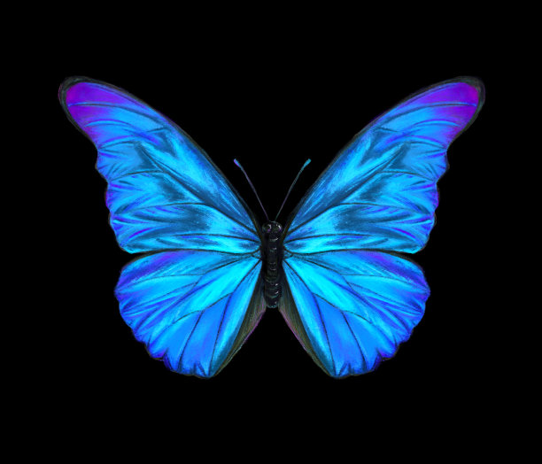 morpho