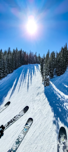 林间滑雪