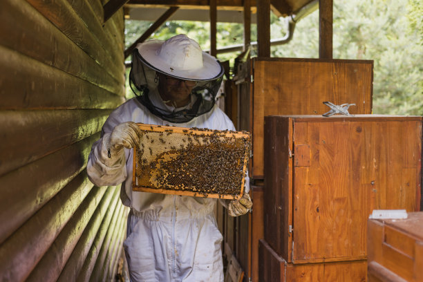 beekeeper