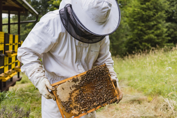 beekeeper
