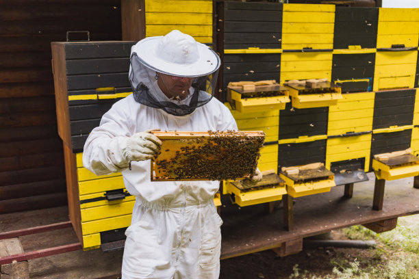 beekeeper