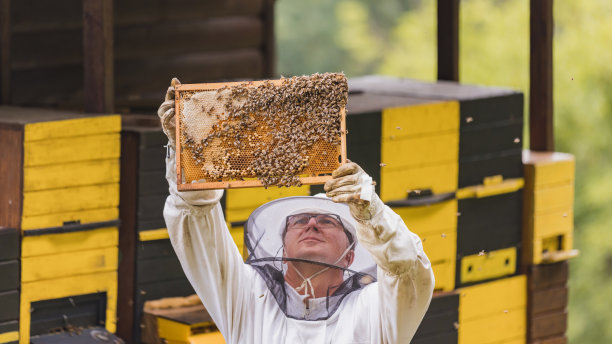beekeeper