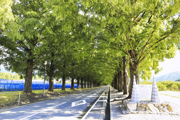 avenue