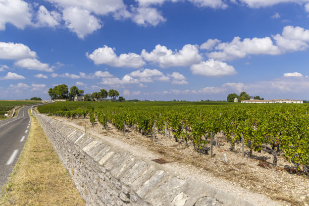 bordeaux