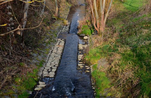 ditch
