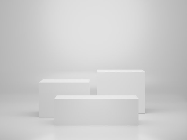 时尚简约产品包装设计