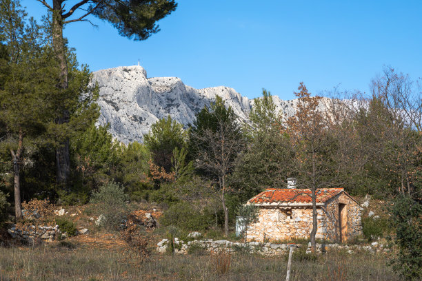 cezanne