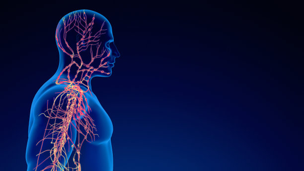 thymus