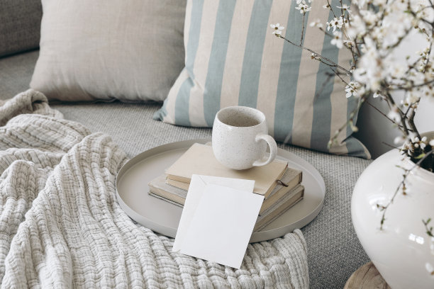 cushion