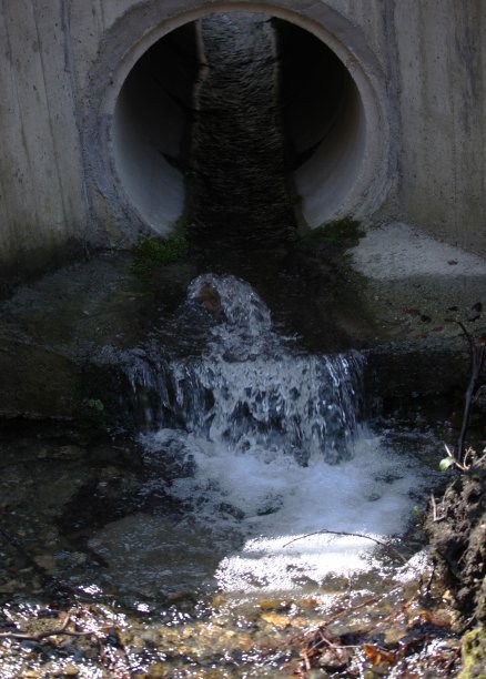 ditch
