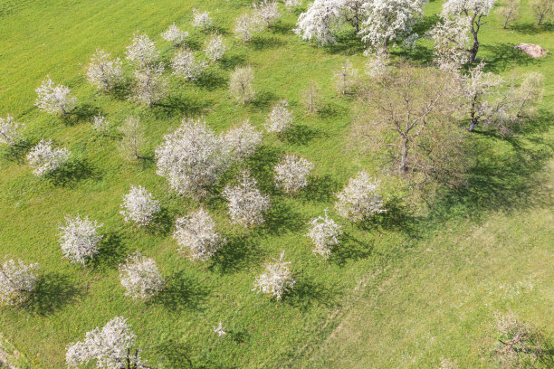 无人机研学实践