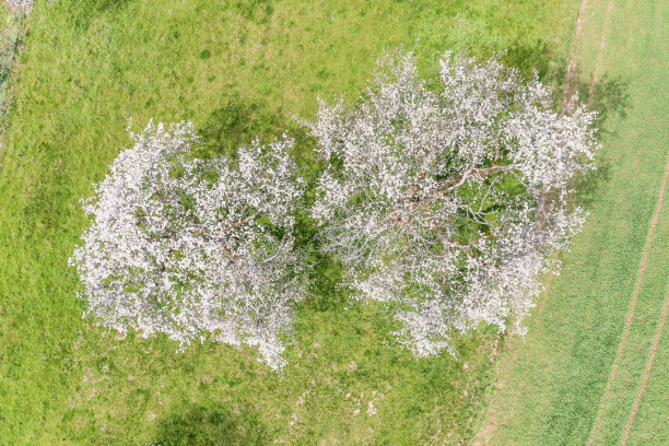 无人机研学实践