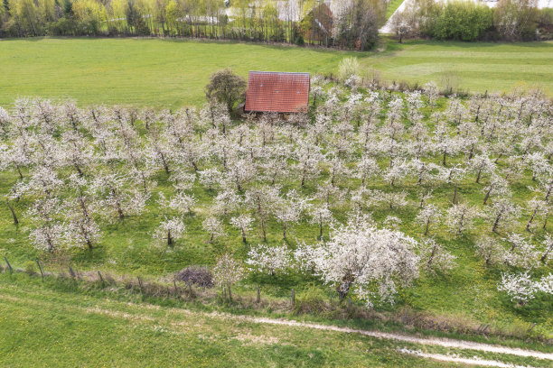 无人机研学实践